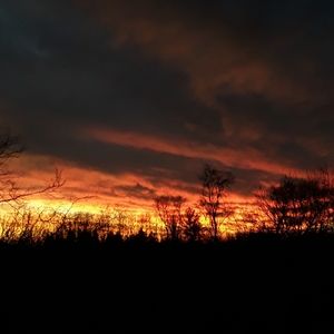 Meet your Posher, Teagan